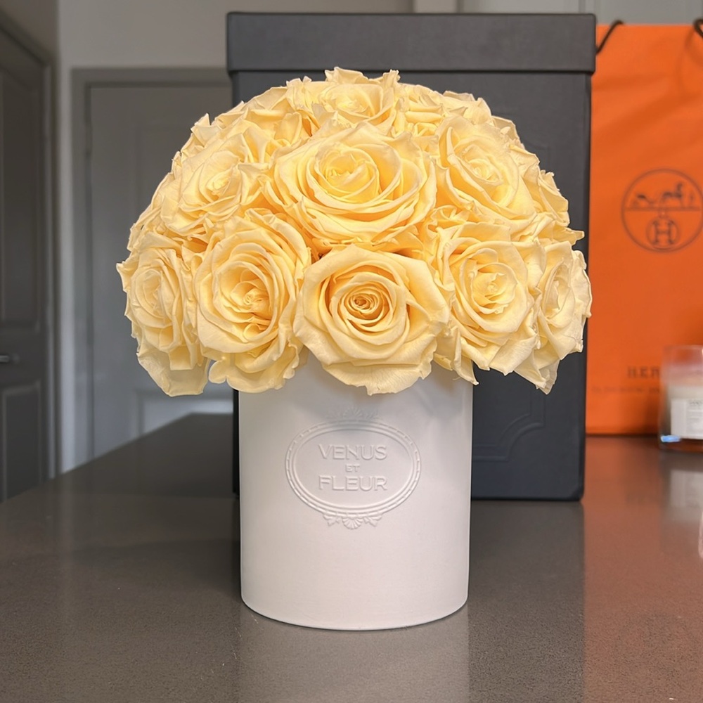Venus Et Fleur -FLEURA PORCELAIN VASE- Buttermilk Yellow - 24-26 Eternity Roses